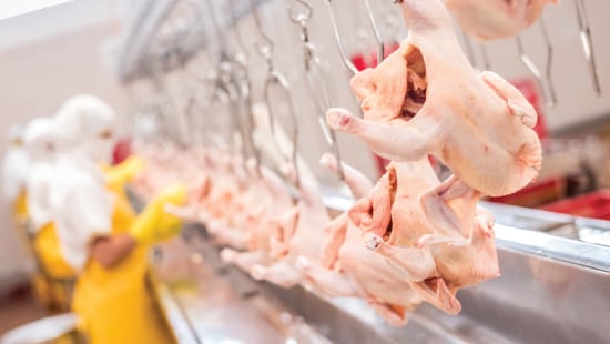 Poultry, Meat, & Seafood Processing